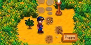 simple crop label