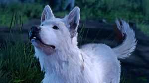 Best Boy Essential Tips and Tricks for Getting Started in BG3